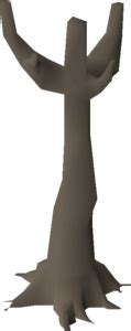 Image result for Old Magic Tree OSRS