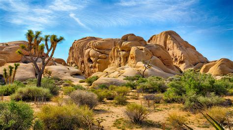 Joshua Tree National Park - The Spring Resort & Spa