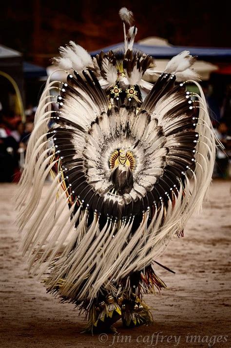 Native Dancer 的图像结果