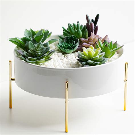 Buy Kimisty 10 Inch Large Round Succulent Planter Bowl with Gold Metal ...
