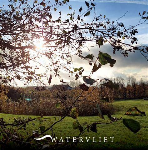 View Lodge - Accommodaties | Watervliet Zeeland