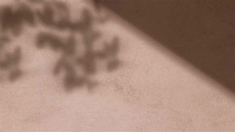 Kidney Stone Treatment Without Surgery | Matoshree Kidney Stone Center