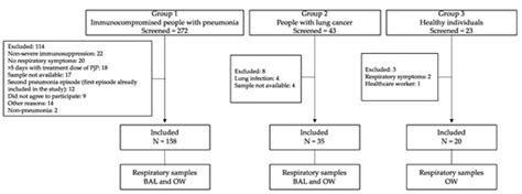JoF | Special Issue : Advances in Pneumocystis Infection