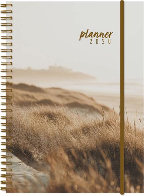 Simplex Settings for Beach Use 的图像结果