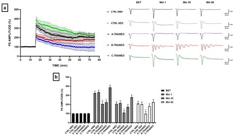 Modulation of Synaptic Plasticity by Vibratory Training in Young and ...