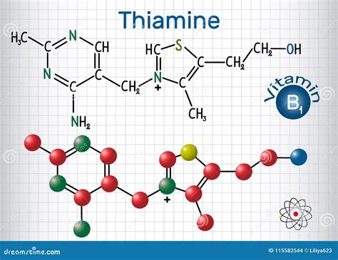 Where Is Thiamine Used