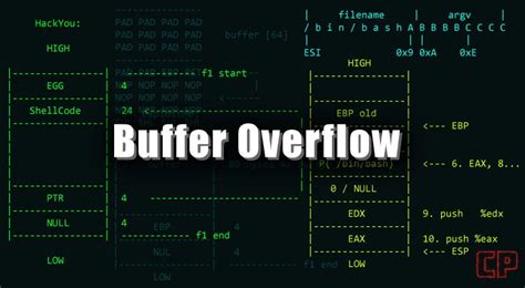 Image result for Buffer Overflow Attack Lab Set UID Version