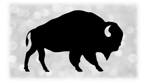 Buffalo Clipart