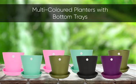 Kraft Seeds Fleshy 6 inch Flower Pots With Bottom Trays (8 Pcs ...
