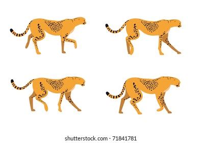 Image result for Run Cycle Animation Frames