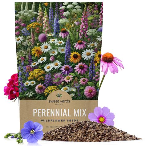 Perennial Wildflower Seeds Mixture - Bulk MVR1 1/4 Pound Bag - Over ...