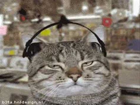 Image result for Cat Generator Control Module