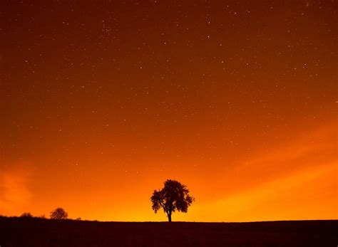 Download wallpaper Stars, Landscape, Tree, Night, Field, Sunlight, Sun ...