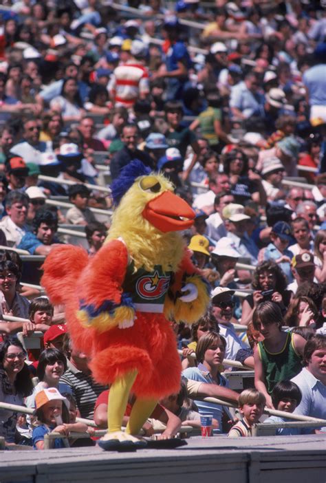 What is the San Diego Chicken?