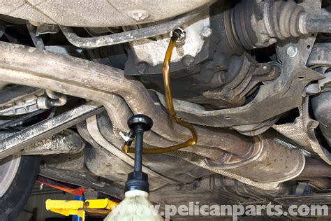 Bmw Rear Oil Replacement