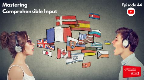 Image result for Comprehensible Input Examples