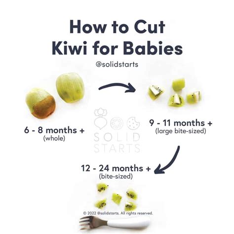 Kiwi for babies can babies eat kiwi first foods for baby – Artofit