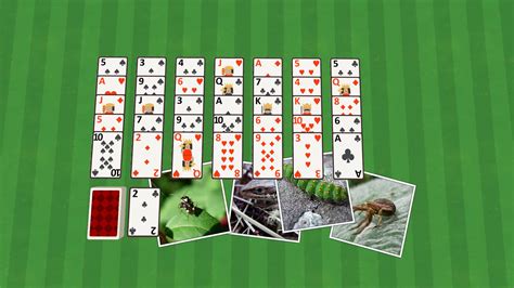 Golf Solitaire Critters TV:Amazon.in:Appstore for Android