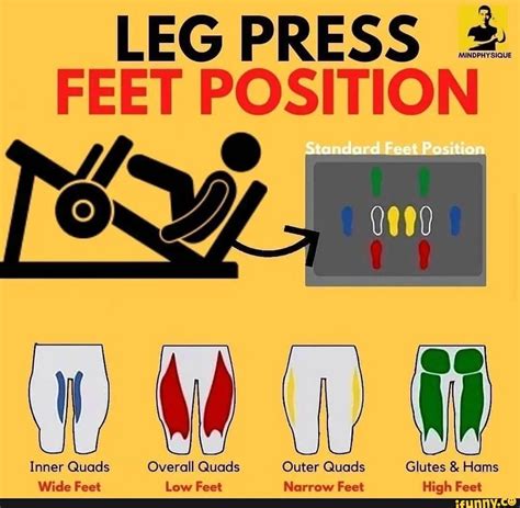 Leg Press Glutes Quads at Jose Cruse blog