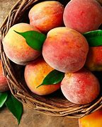 peaches 的图像结果