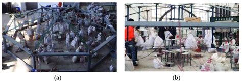 Image result for Symmetric Loading Test