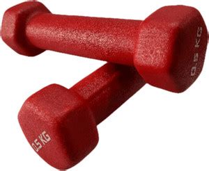 SRIDAYA Set of 0.5 Kg Neoprene Dumbbells for Men & Women (0.5kg x 2pcs ...