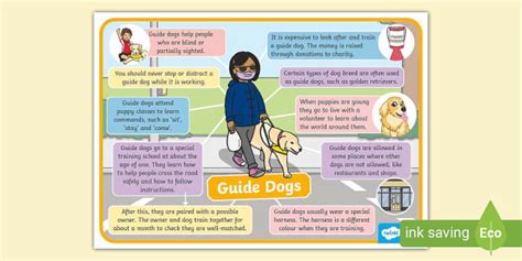 Guide Dogs Information Poster - Twinkl - EYFS - KS1 - Twinkl