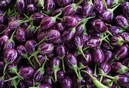 ACCELCROP Round Brinjal Seeds Indian Vegetable Seed Price in India ...