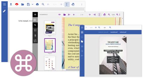 JavaScript PDF 的图像结果