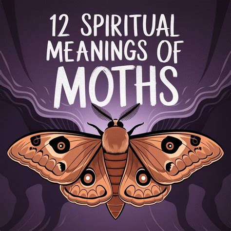 12 Spiritual Meanings of Moths: Mystical Significance