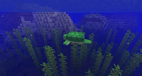 Image result for Minecraft Turtle Farm Tutorial