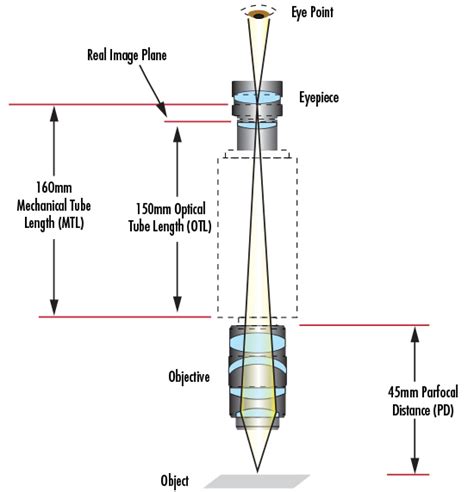Microscope Optics 的图像结果