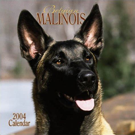 Buy 2004 (Belgian Malinois Wall Calendar) Book Online at Low Prices in ...