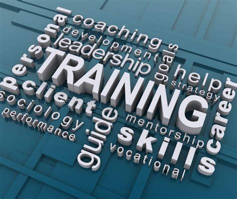 Training Check In 的图像结果