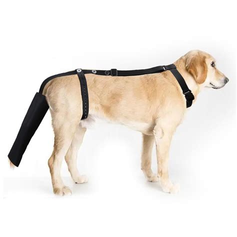 Amazon.com : vomvomp Dog Tail Guard Dogs Tail Protector Bag Dogs Tails ...