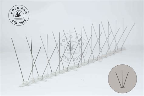 Pigeon Spikes 的图像结果