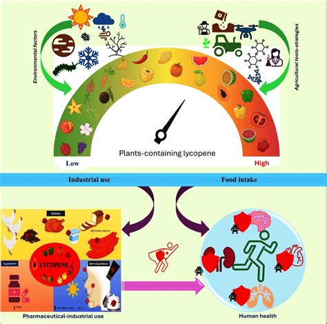 Journal of Applied Biology and Biotechnology