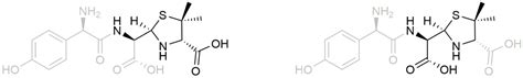 A Comprehensive Study to Identify Major Metabolites of an Amoxicillin ...