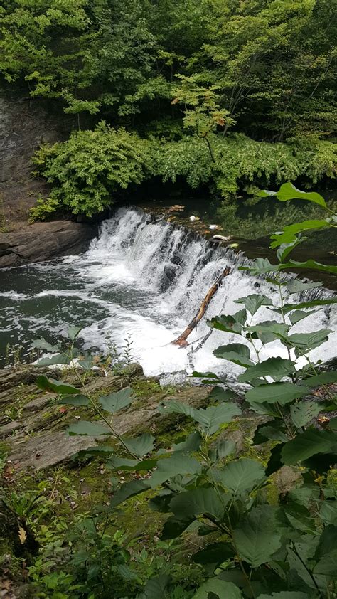 Bushwick Open Studios and Street Art, Outside L train Morgan Ave ...