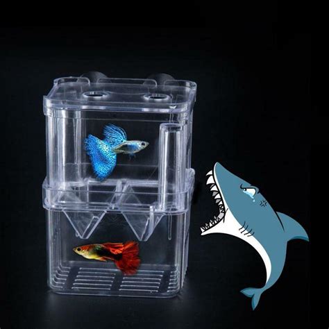 Buy 1xFish Breeding Box Shrimp Hatchery Fish Tank Incubator Tool ...