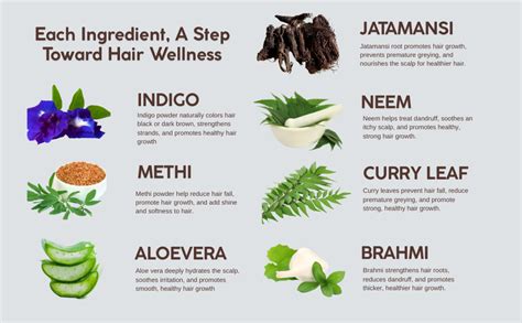 Hennahub Amla, Reetha, Shikakai, Bhringraj Hibiscus, Methi, Henna, Ind ...