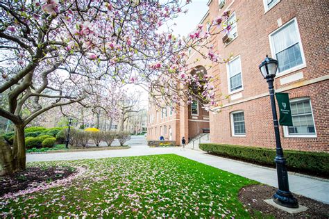 Congratulations to Michelle Ragusa-McBain on your MBA from the The O ...