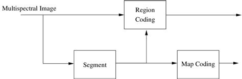 Coding region Function 的图像结果