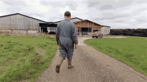 Image result for Basic Income Documentary