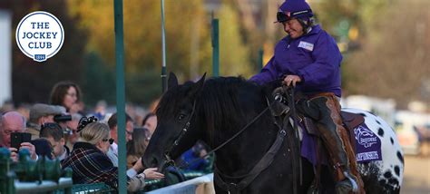 The Jockey Club Releases ID My Thoroughbred App - BloodHorse