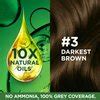 Shade 3 Darkest Brown Hair Color for Beautiful Hair | Garnier