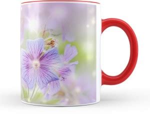 Pics And You Red Coloured Flower Themed 60 (Ceramic, 11oz, High Quality ...
