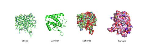 Image result for Actions Generate Electrostatic Surface PyMOL