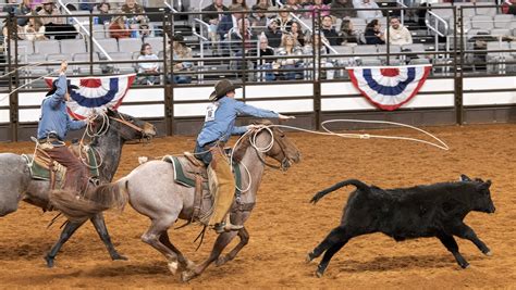 Image result for Loading Rodeo Stock