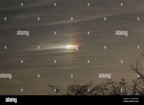 Sun Dogs 的图像结果